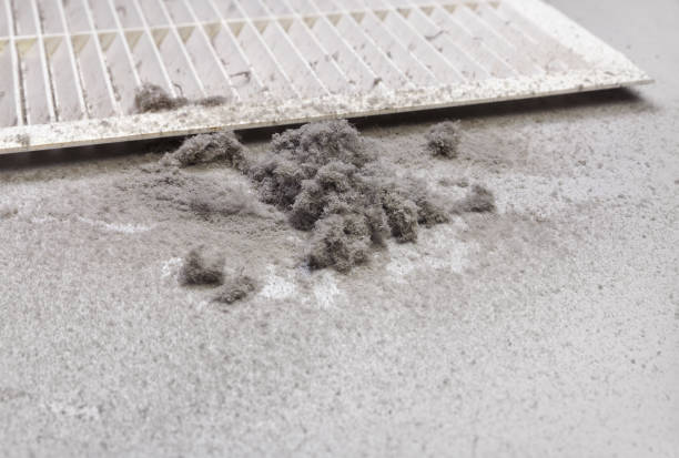 Best HVAC Air Duct Cleaning  in Bluffton, IN