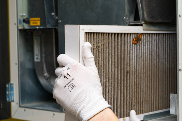 Best Home Air Vent Cleaning  in Bluffton, IN