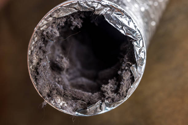 Best Air Duct Sanitizing Services  in Bluffton, IN