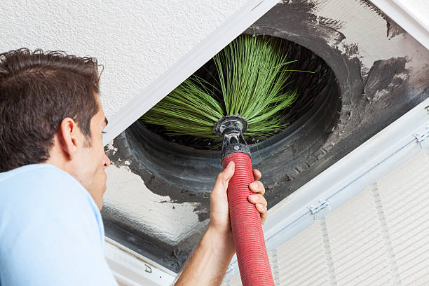 Best Residential Air Duct Cleaning  in Bluffton, IN